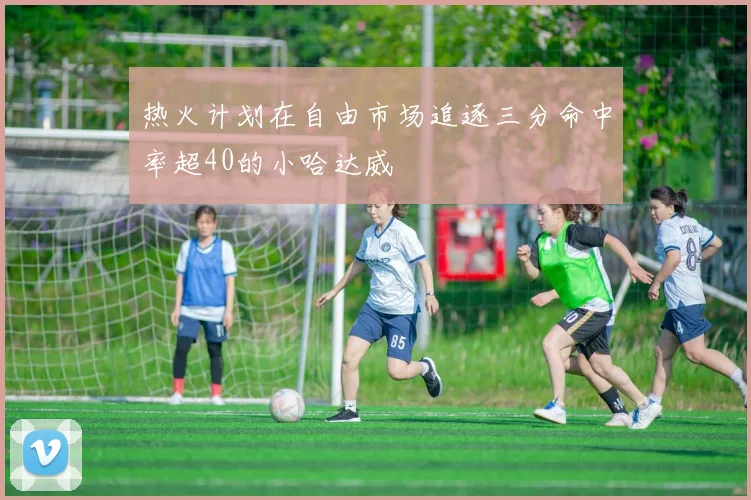 热火计划在自由市场追逐三分命中率超40的小哈达威