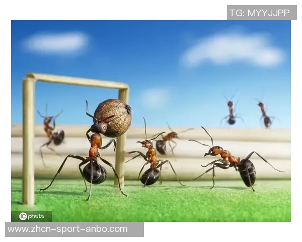 崔鹏解读留洋生存法则：在欧洲足球中拼搏才是唯一出路